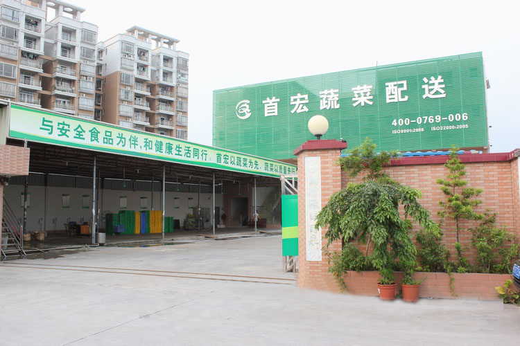 湛江蔬菜配送